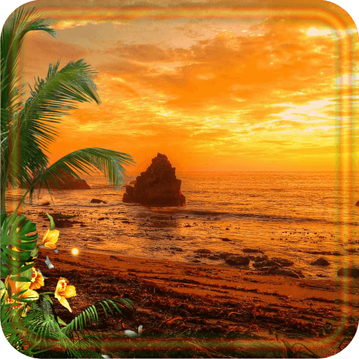 Tropical Sunset live wallpaper