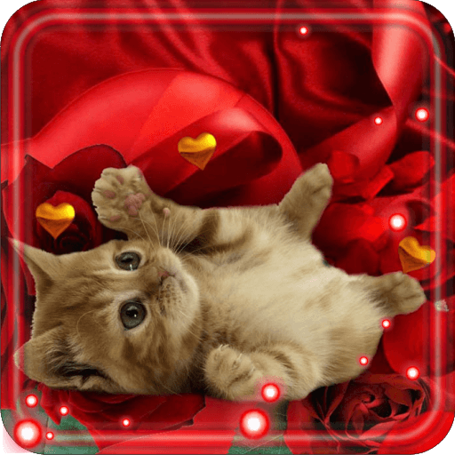 Valentine Kitty live wallpaper