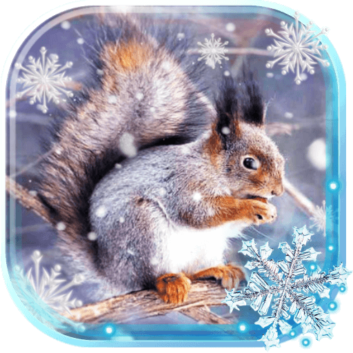Winter Squirrel Forest live wallpaper