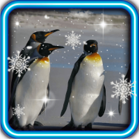 Pinguin live wallpaper
