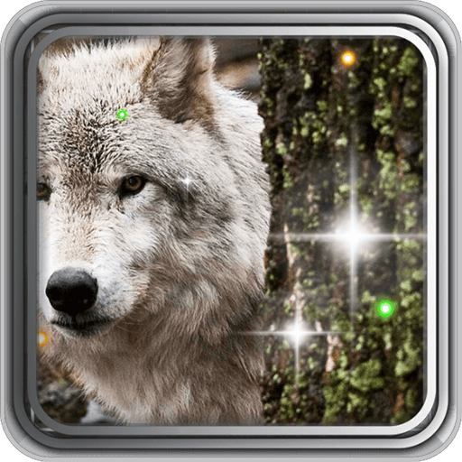 Wild Wolf HD live wallpaper