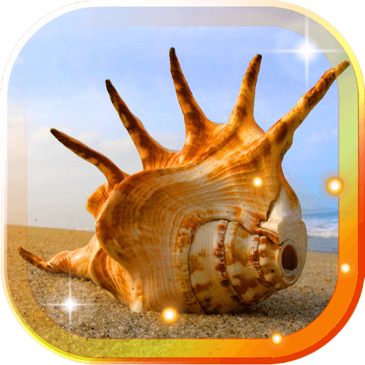 Sea Shells Beach LWP