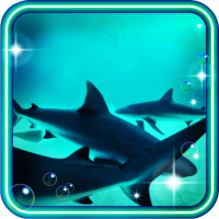 Sharks Sea LWP