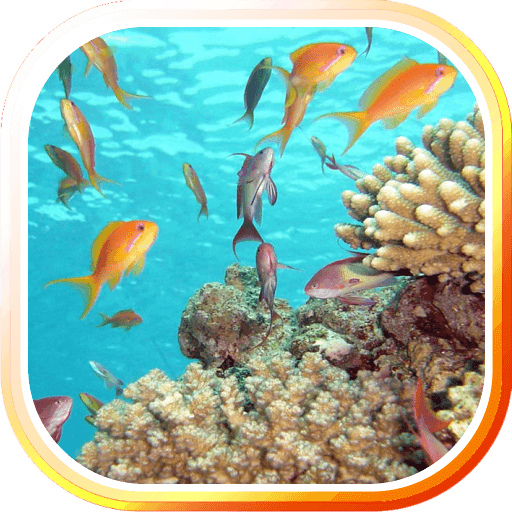 Underwater Sea Life LWP