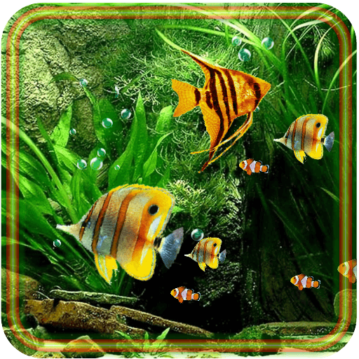 Aquarium Fish 2016