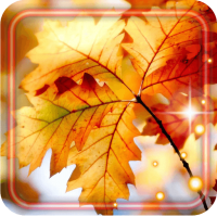 Autumn Leaf 3D livewallpaper