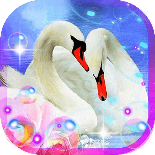 Swans Songs