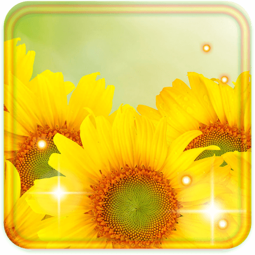 Sunflower Best live wallpaper