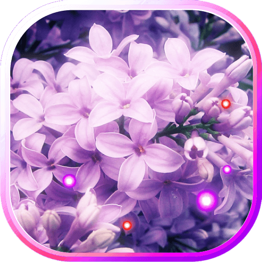 Lilac Tender LWP