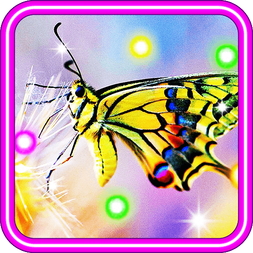 Butterfly HD live wallpaper
