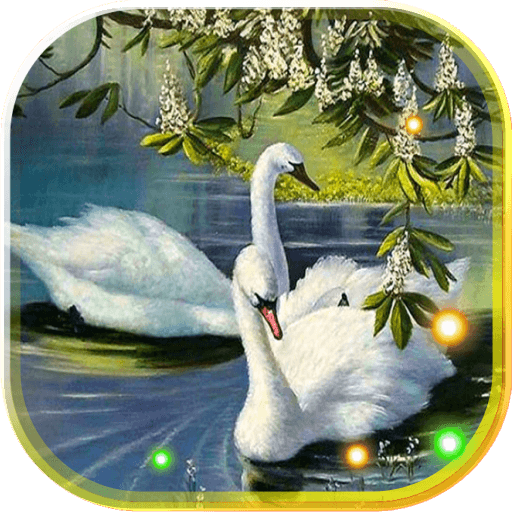 Swans live wallpaper