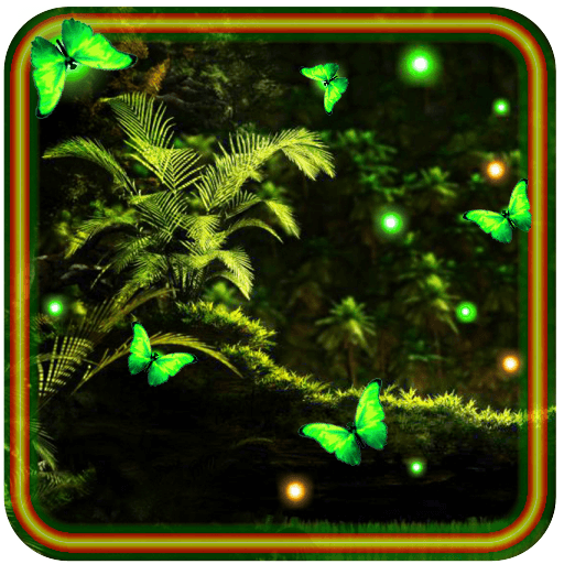 Jungles Night Fireflies