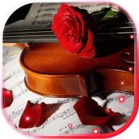 Rose n Violin