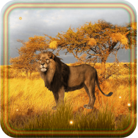 Lion Savanna Wild