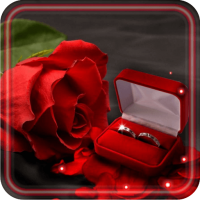 Lovely Gifts HD