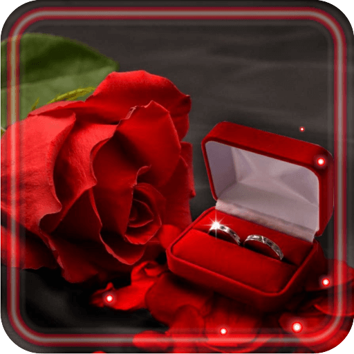 Lovely Gifts HD