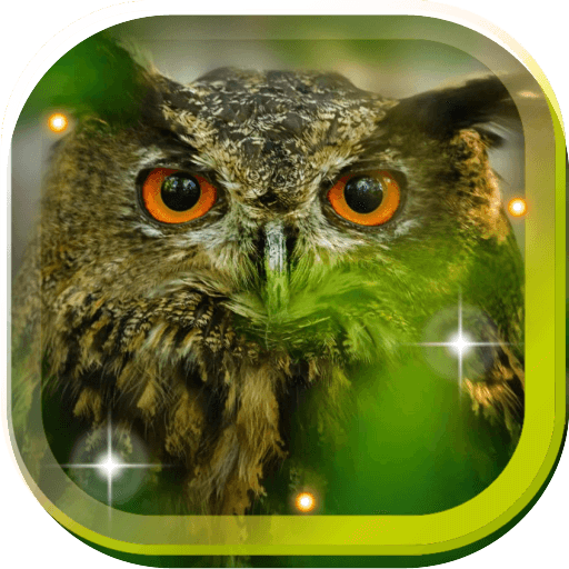Owl Funny Sounds