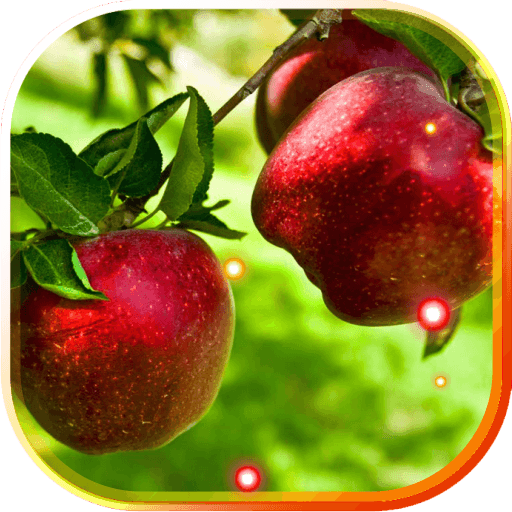 Apples live wallpaper