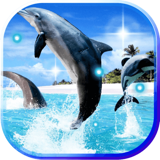 Dolphin Jumps 2