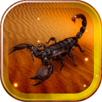 Scorpions Desert