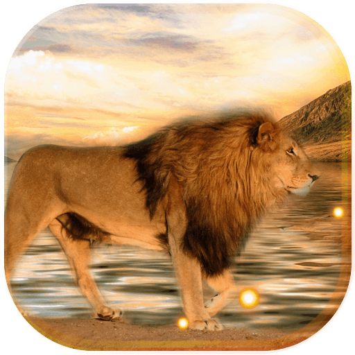 Lions Royal