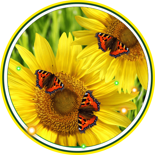 Butterflies n Sunflowers LWP