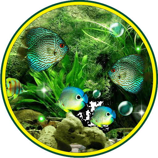 Aquarium Fishes live wallpaper