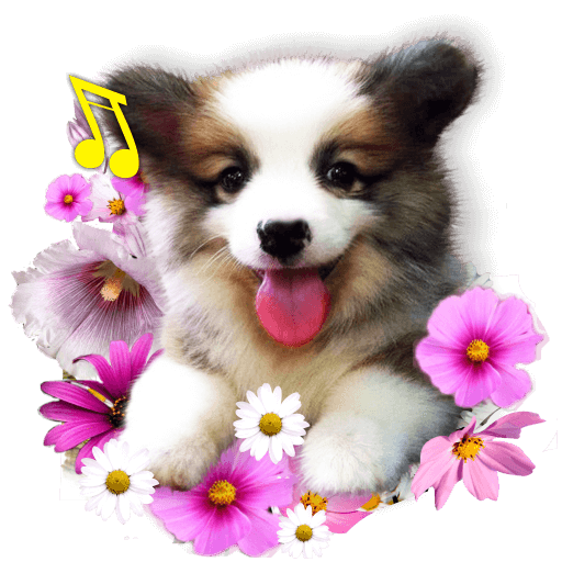 Cute Puppies live wallpaper