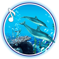 Dolphins Sounds live wallpaper