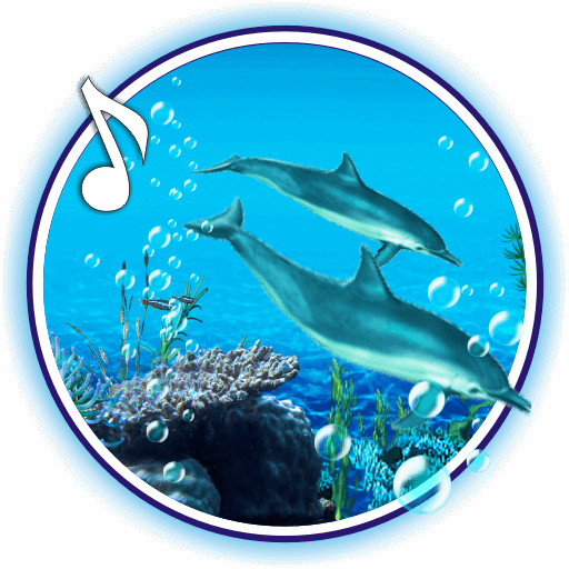 Dolphins Sounds live wallpaper