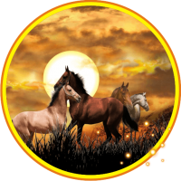 Horses Wild Sunset Live Wallpaper