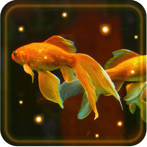 Aquarium Gold Fishes live wallpaper