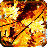 Autumn Leaf live wallpaper