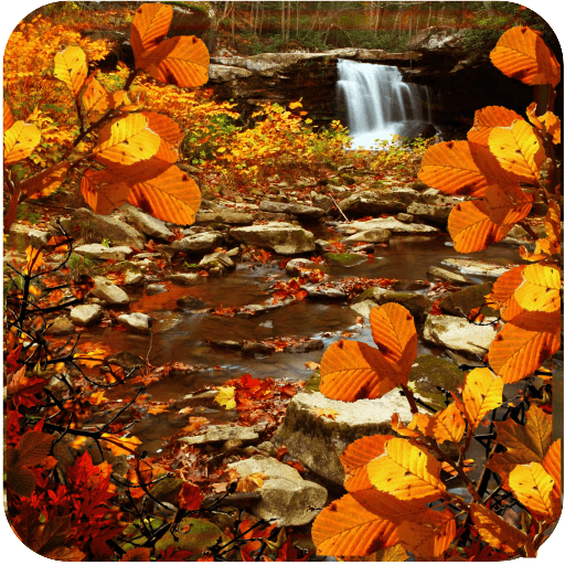 Autumn Waterfall Leaves Live wallpaper