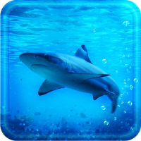 Blue Shark live wallpaper
