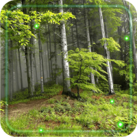 Forest Songs live wallpaper