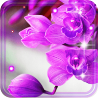 Orchid Free 2018 live wallpaper