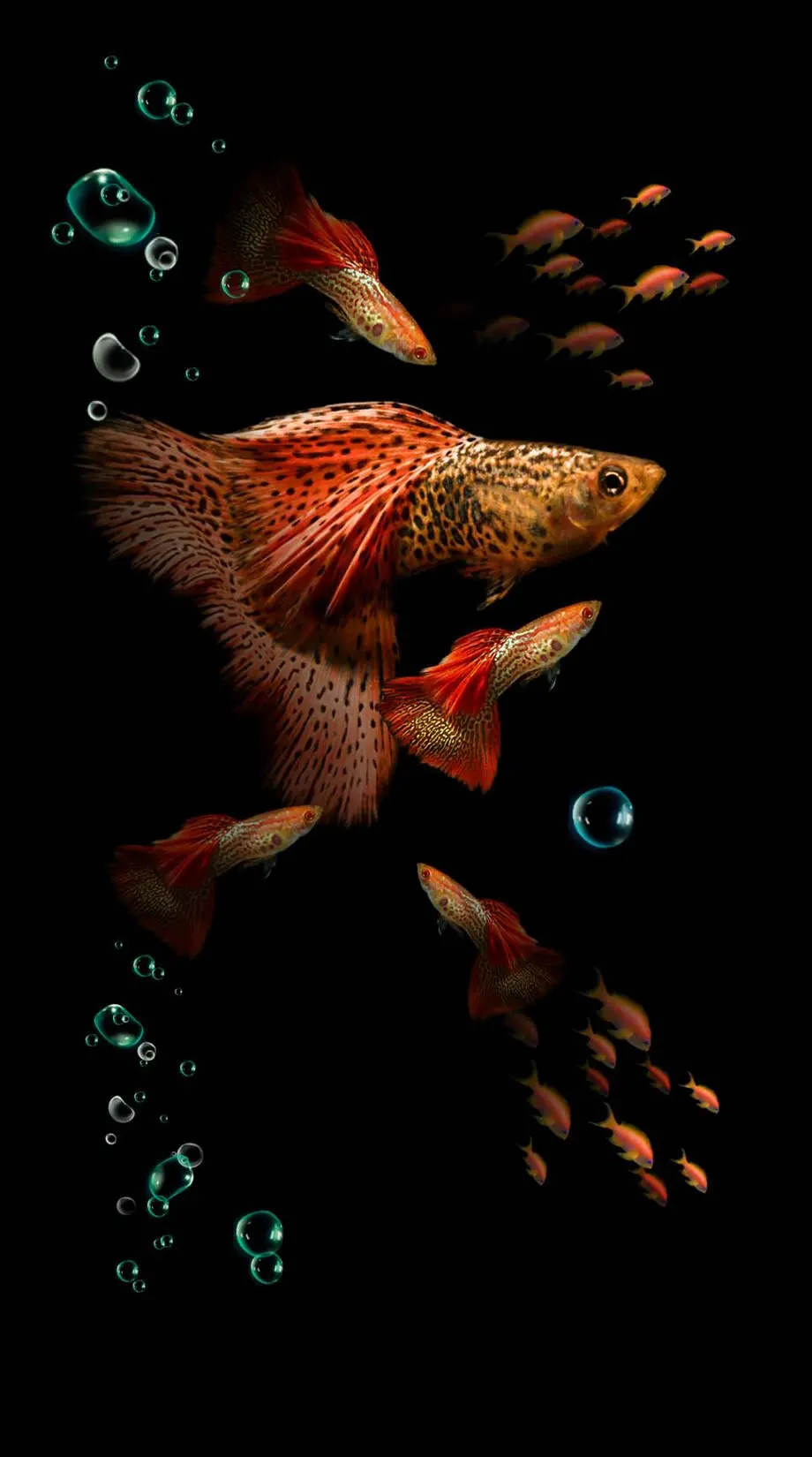 Aquarium Black Theme Fish Wonderful Wallpaper Digital background, new phone wallpaper, i Phone 11 wallpaper, i Phone 13 wallpaper, Samsung galaxy, Samsung Galaxy wallpaper background, VIVO wallpaper background, for desktop, for PC, for computer