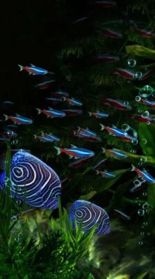 Aquarium Custom Aesthetic Awesome Background