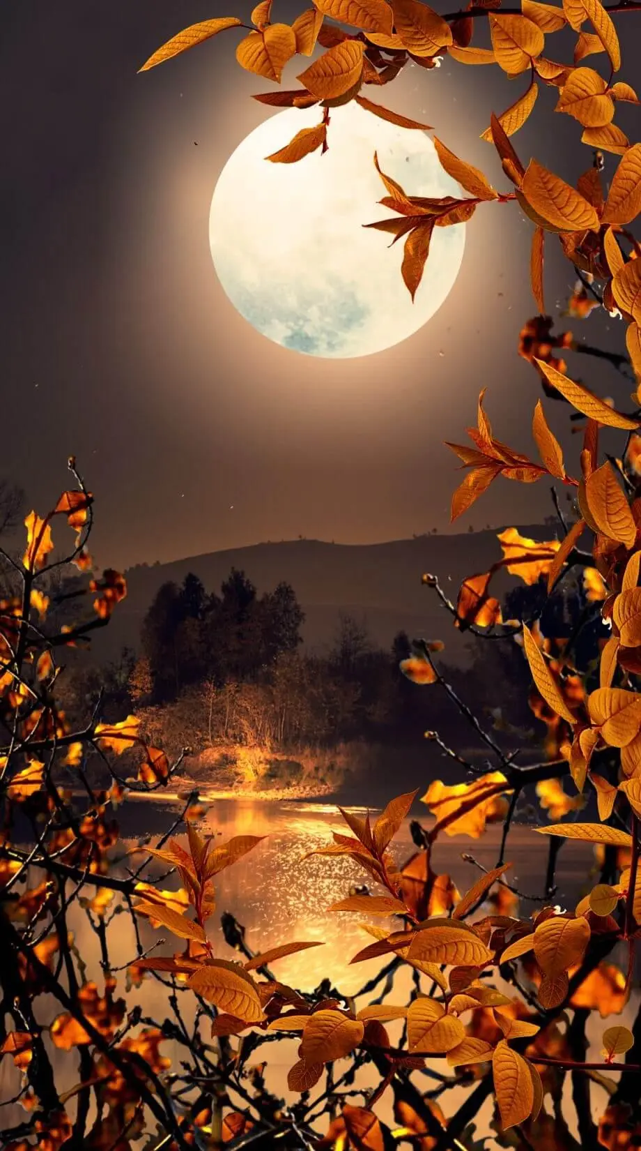 Autumn Gothic Amazing Perfect Background picture