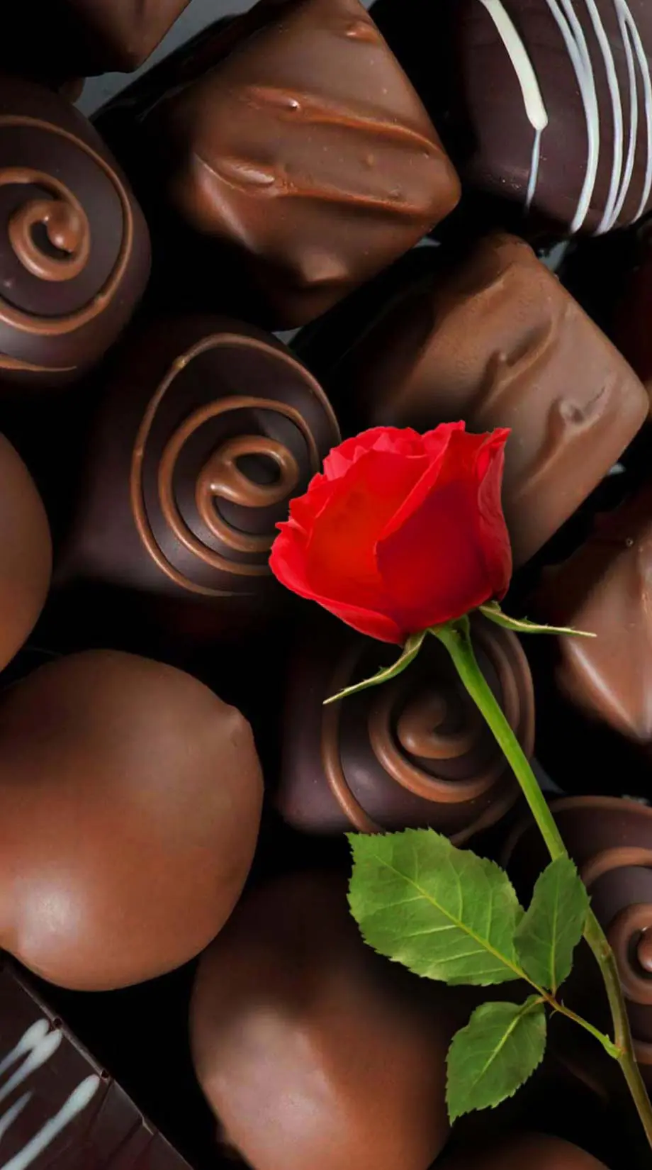 Chocolate Rose Cocoa Beautiful Wallpaper idea