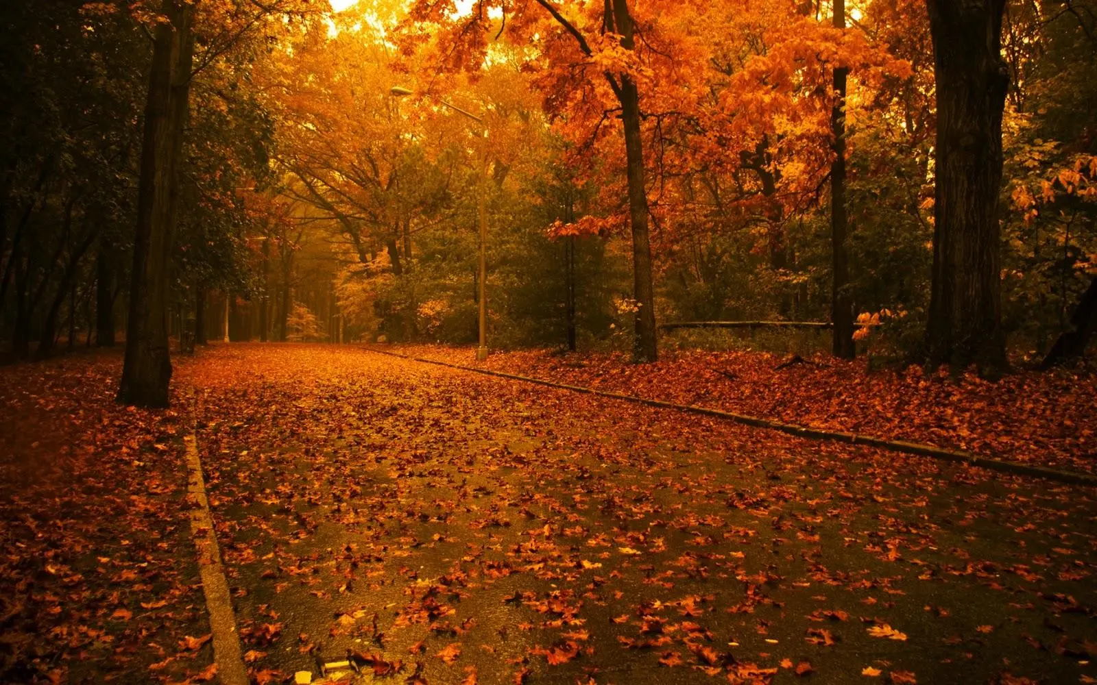 Autumn Landscape Modern Awesome Wallpaper Screen image, phone background, i Phone x wallpaper, i Phone 12 wallpaper, Galaxy A54 wallpaper background, Samsung galaxy s22 wallpaper background, LENOVO wallpaper background, for desktop, for PC, for computer