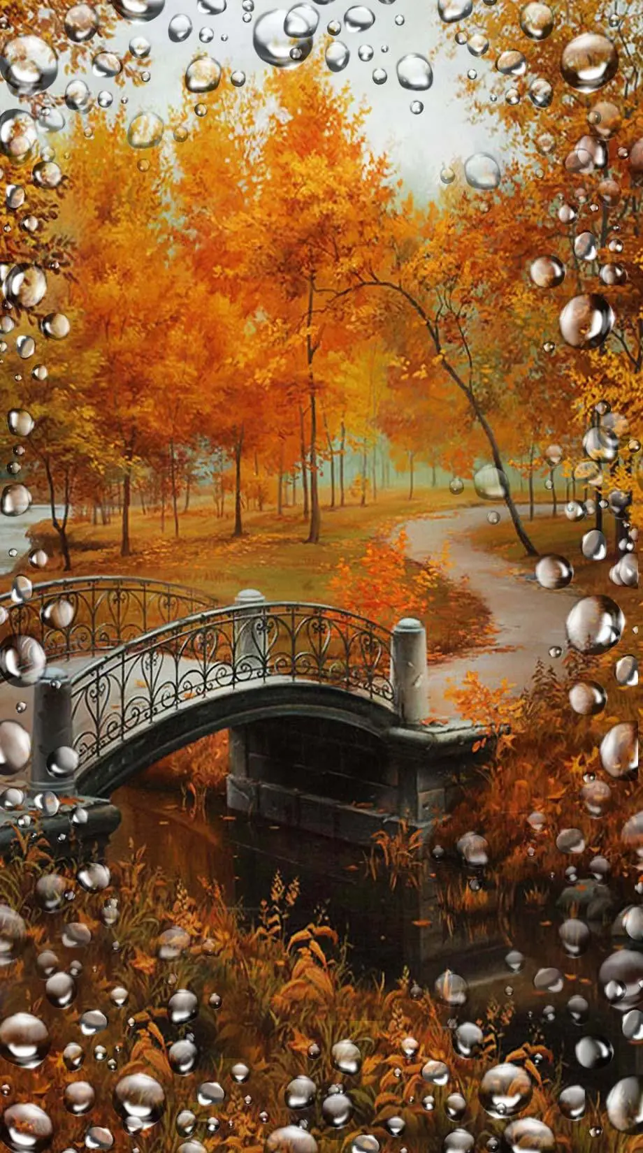 Autumn Rain Photo Nice Wallpaper Digital wallpaper, phone background, i Phone 15 wallpaper background, i Phone 14 wallpaper background, Samsung galaxy s8 wallpaper background, Samsung galaxy, VIVO wallpaper background, for desktop, for PC, for computer