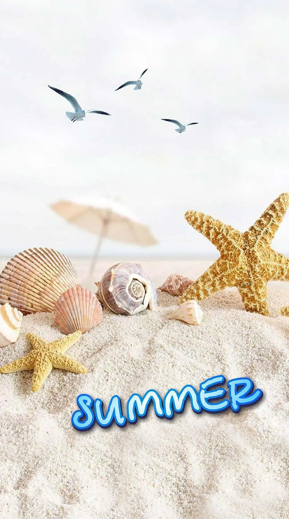 Bich Summer Oceanic Wonderful Wallpaper background