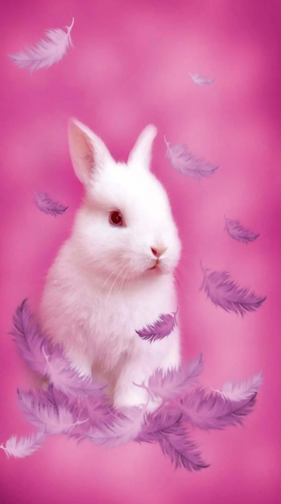 Bunny Pink Flowers Awesome Wallpaper background Screen image, new phone wallpaper background, i Phone x wallpaper, i Phone x wallpaper, Galaxy A34 wallpaper background, Samsung Galaxy wallpaper background, MEIZU wallpaper background for desktop, for PC, for computer