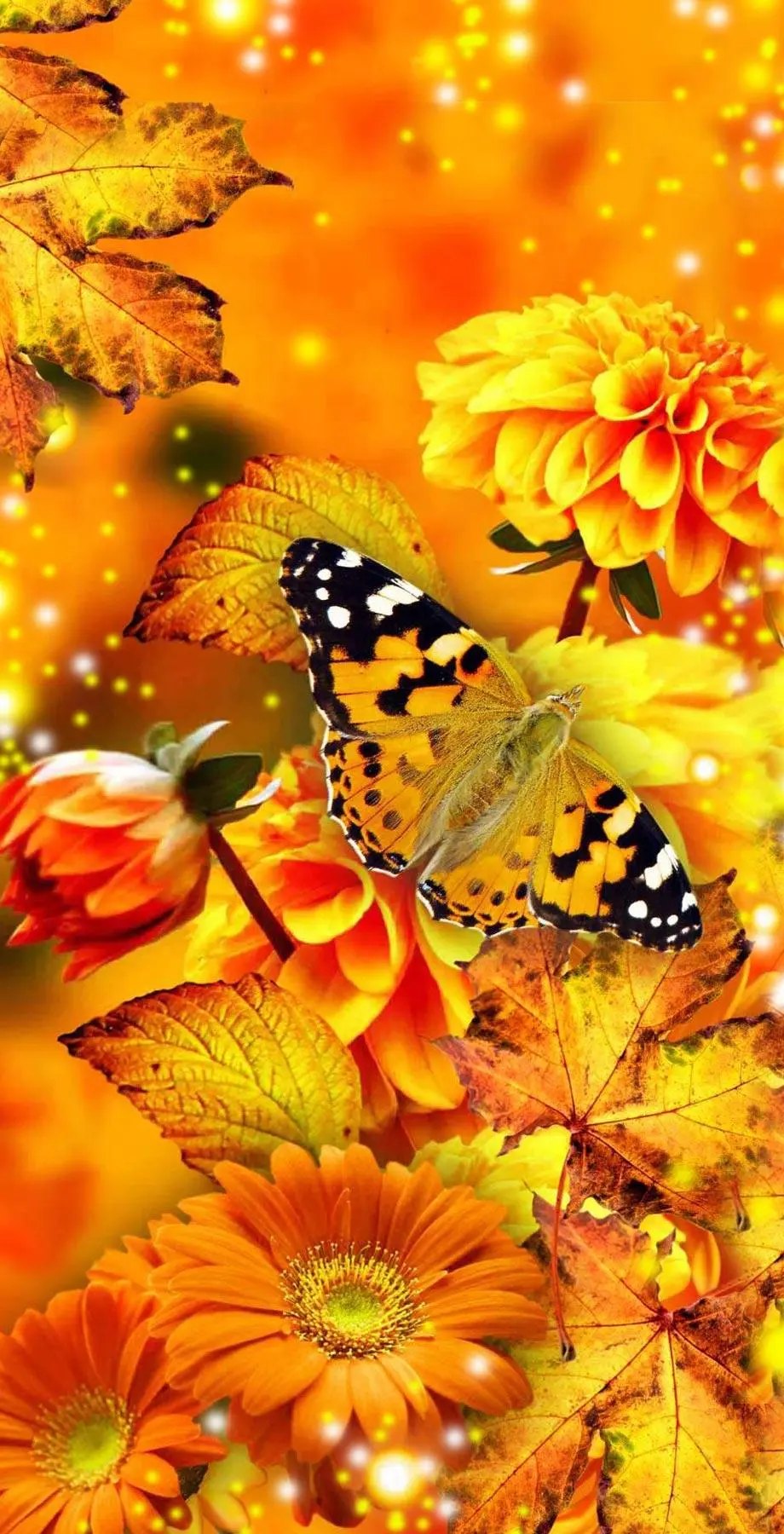 Butterflies Android New Awesome Wallpaper