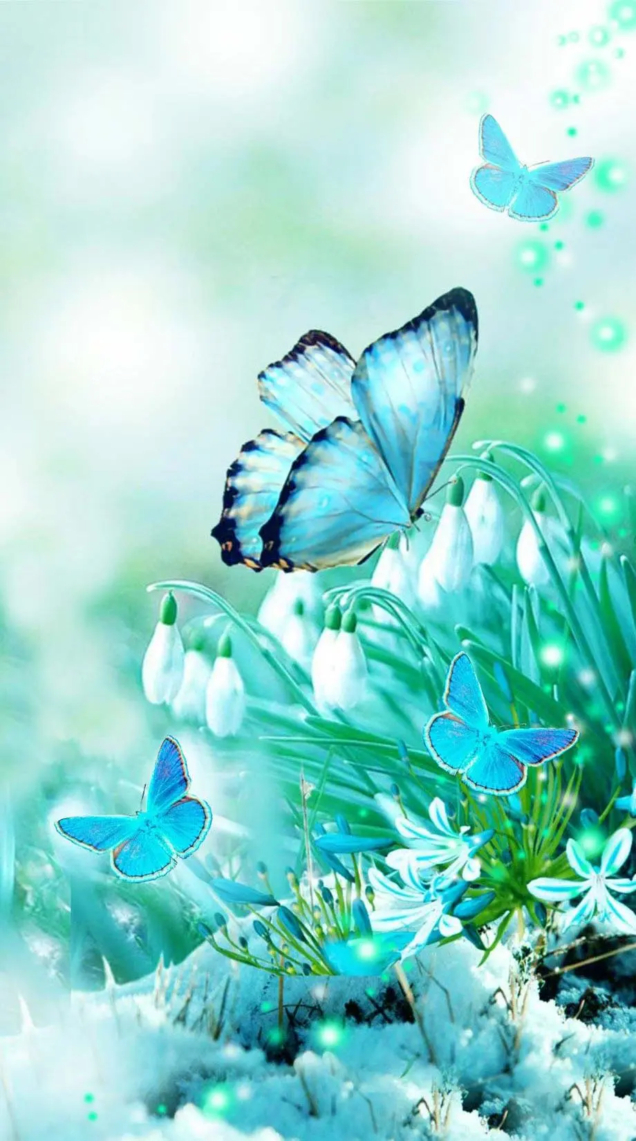 Butterflies Floral Aesthetic Top Background idea