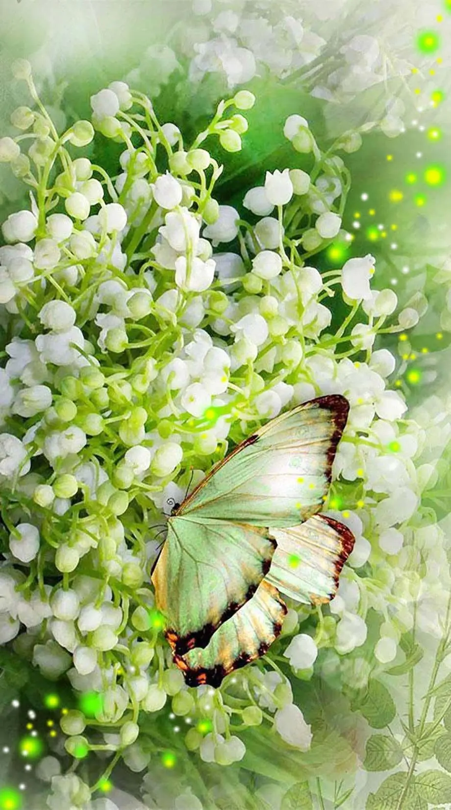 Butterflies Summer Flowers Perfect Background idea