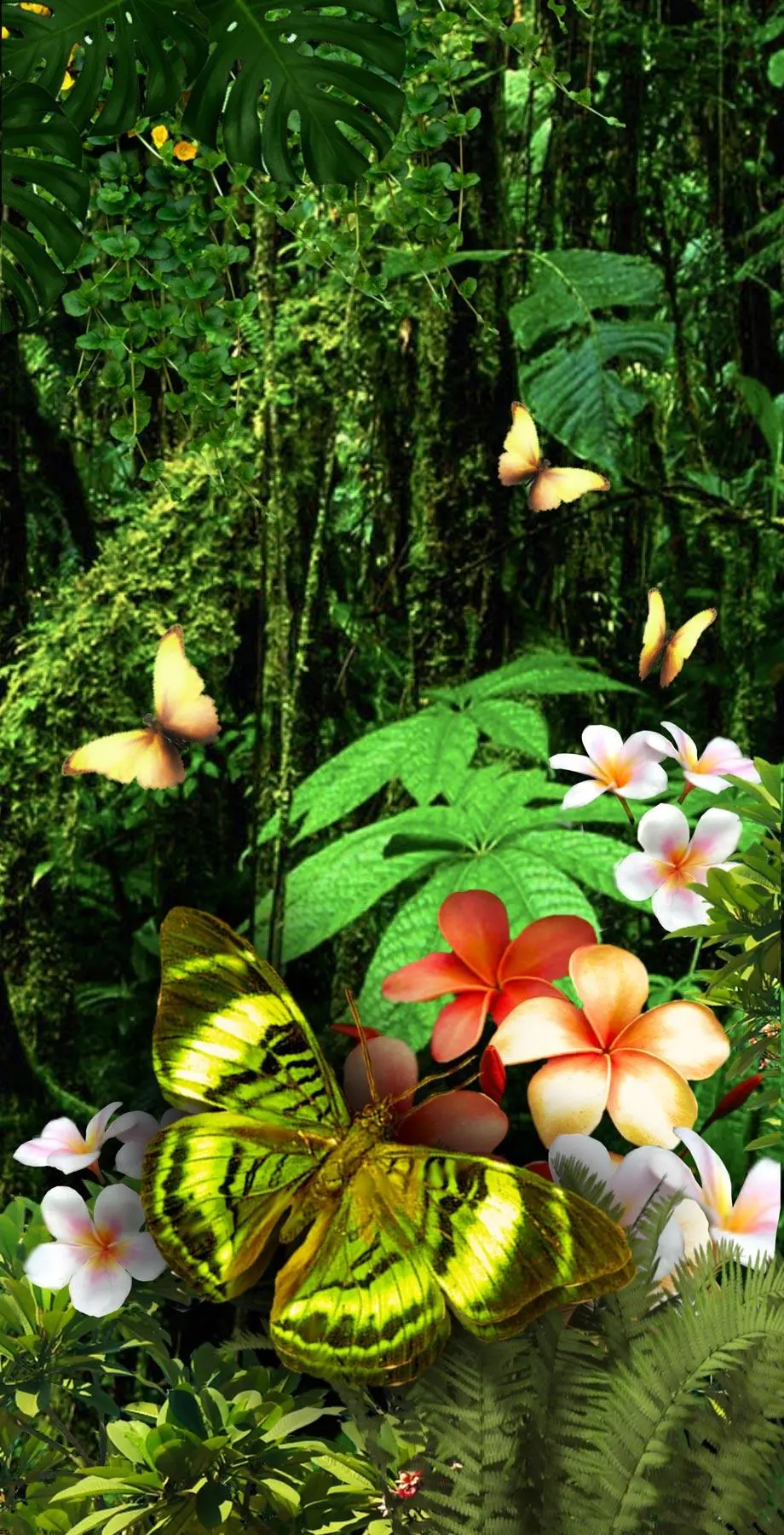 Butterflies Tropical Bright Perfect Wallpaper picture