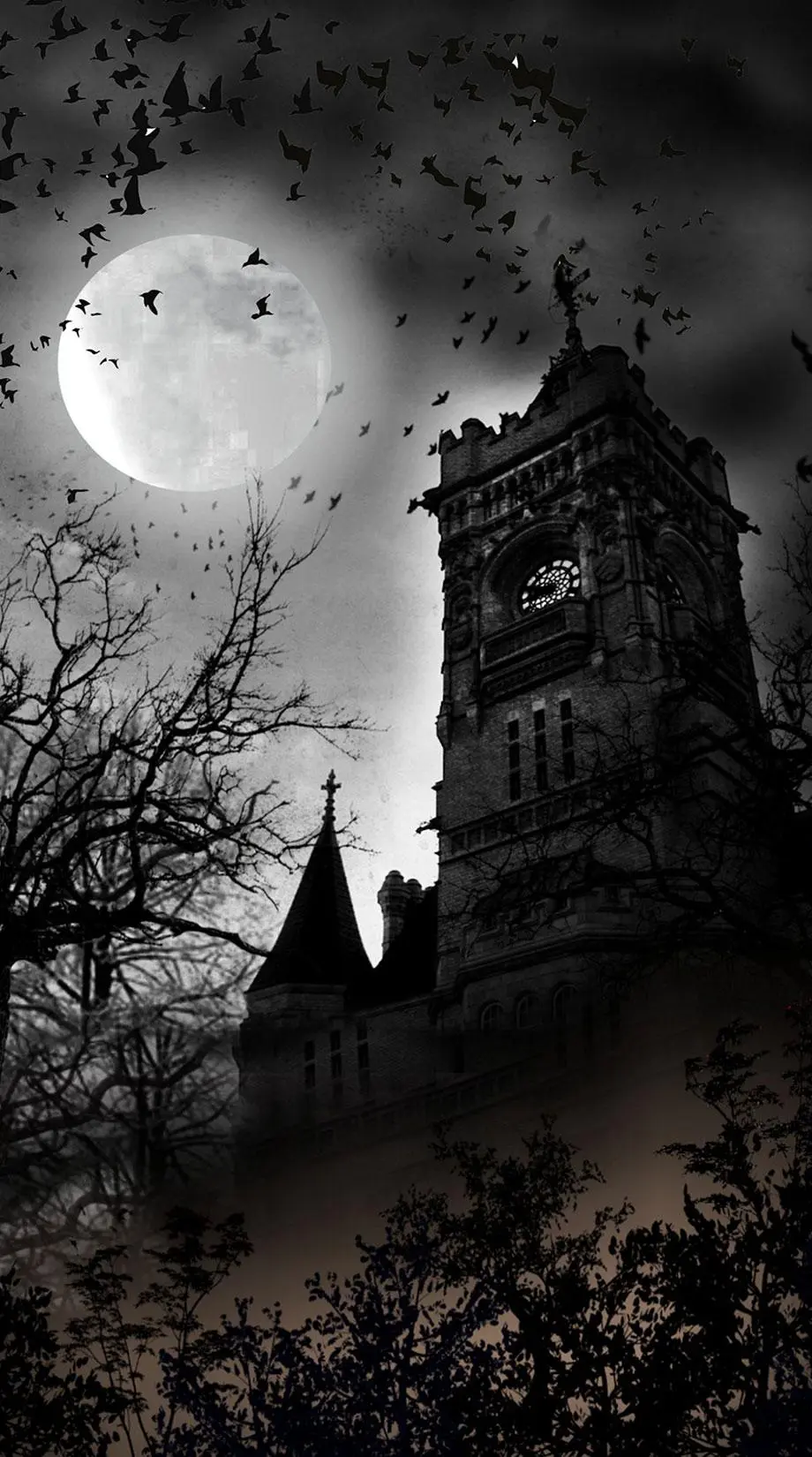 Castles Medieval Gothical Awesome Wallpaper